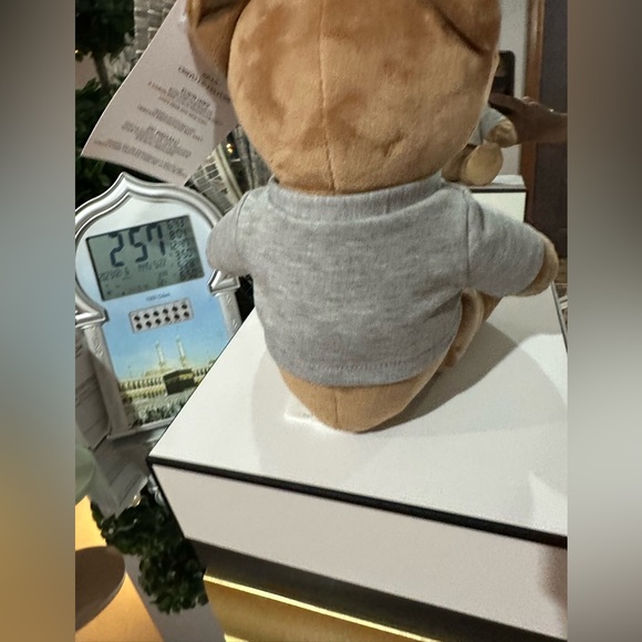 Coach. - Picture 2 of 6